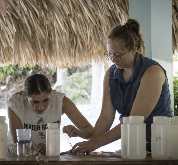 playzone gcash login